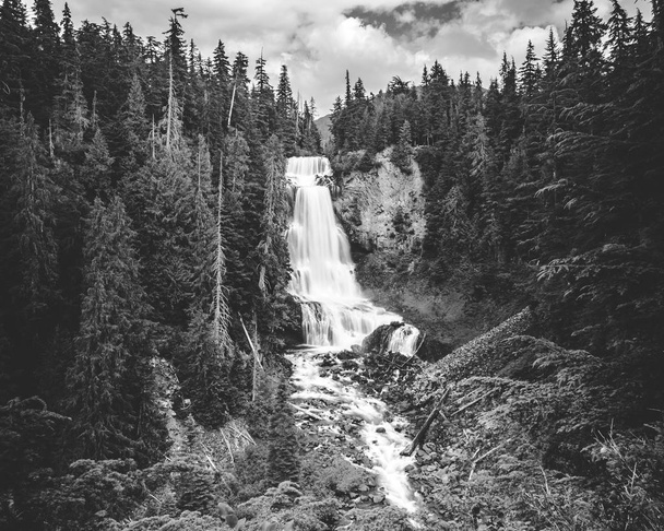 Cascada en blanco y negro Larga exposición de Alexander Falls en BC
 - Foto, Imagen