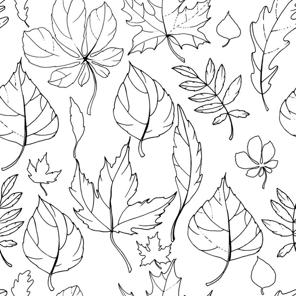 Seamless pattern with autumn leaves. Endless texture with black and white contour elements. White background. - Wektor, obraz
