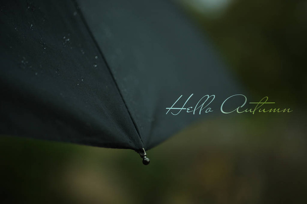 Black umbrella with drops of rain - Photo, Image