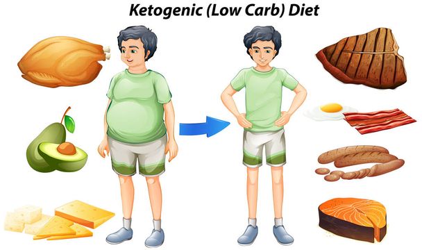Κετογονική δίαιτα γράφημα με διαφορετικούς τύπους τροφίμων - Διάνυσμα, εικόνα