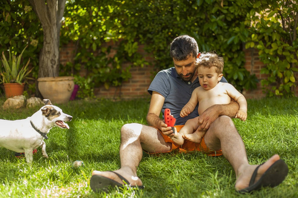 Dad playing with baby boy and dog at the backyard. Summertime - Foto, Imagem