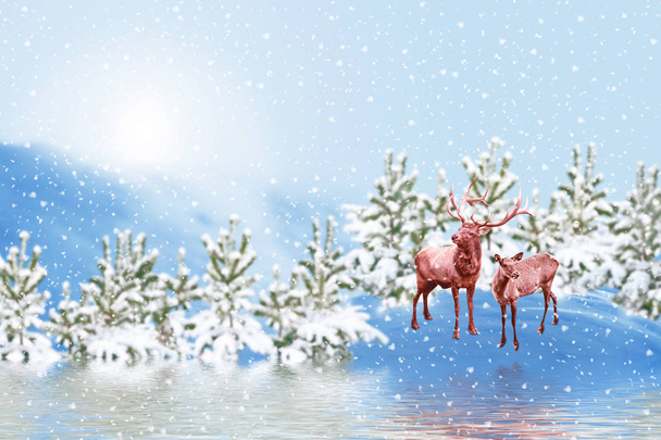 bosque en la helada. Paisaje invernal. Árboles cubiertos de nieve. ciervos - Foto, imagen