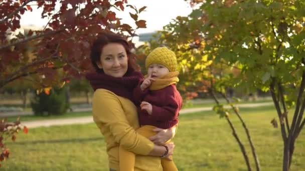 Familie im sonnigen Herbstpark - Filmmaterial, Video