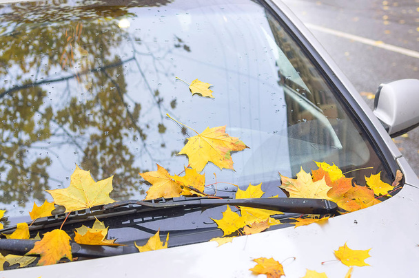 Autumn leaves covered car - Φωτογραφία, εικόνα