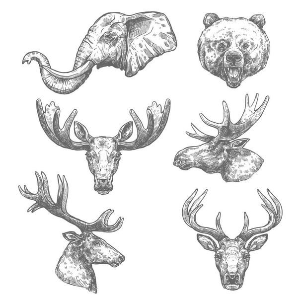 Animal Sketch Set von afrikanischen und Waldsäugetieren - Vektor, Bild