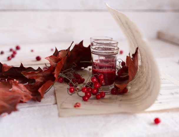 cranberries de vodka, um coquetel de vodka com cranberry no aut
 - Foto, Imagem