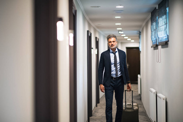 Mature businessman walking with luggage in a hotel corridor. - 写真・画像