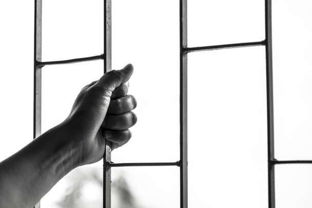 Hand of the prisoner in a steel lattice ,black and white - Photo, Image