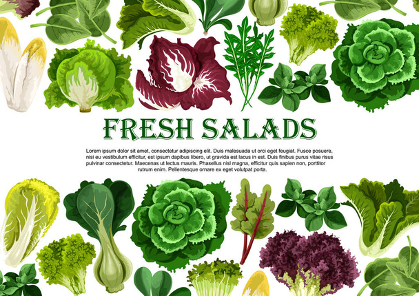 Hoja de ensalada, verduras verdes banner borde diseño
 - Vector, imagen