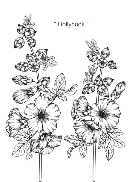 Hollyhock flower. Drawing and sketch with black and white line-art. - Vector, Image