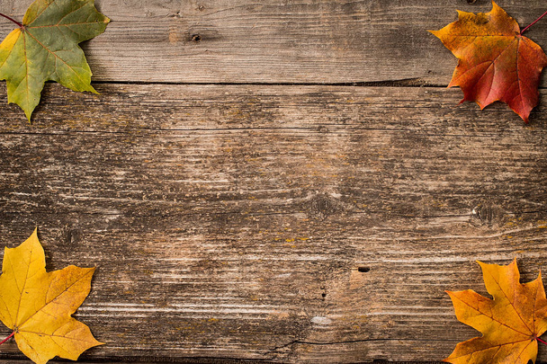 Autumn leaves over wooden background with copy space - Photo, Image