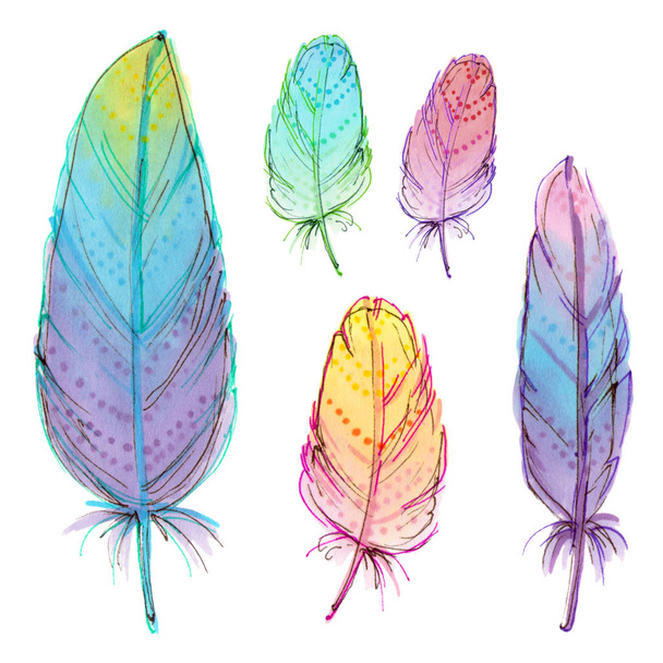 hand drawing colorful feathers.  - Photo, Image