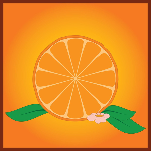 Orange - Vektor, Bild