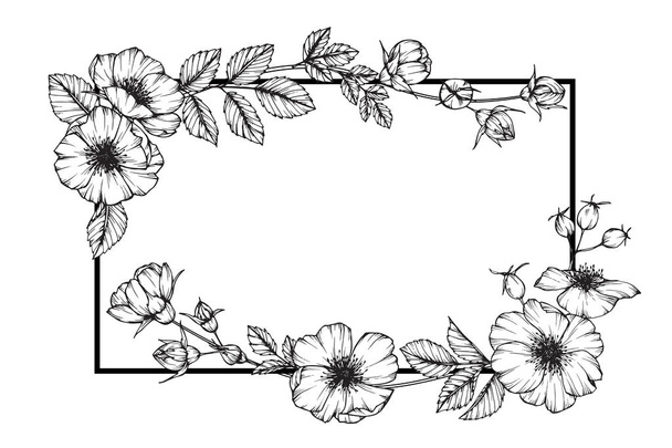 Wild rose bloem frame tekenen. Tekenen en schetsen met zwarte en witte lijn-kunst. - Vector, afbeelding