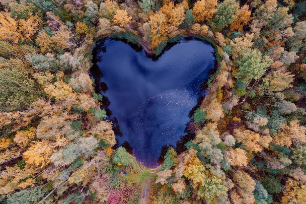 Luchtfoto van hartvormige vijver - Foto, afbeelding