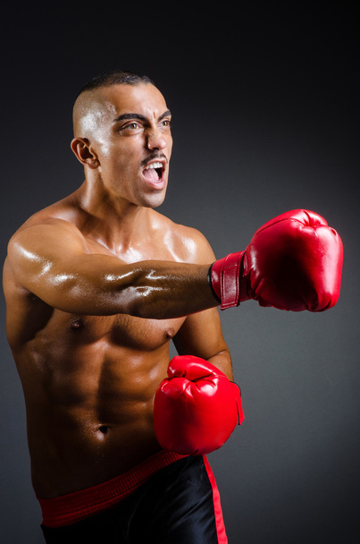 svalnatý boxer v studio natáčení - Fotografie, Obrázek