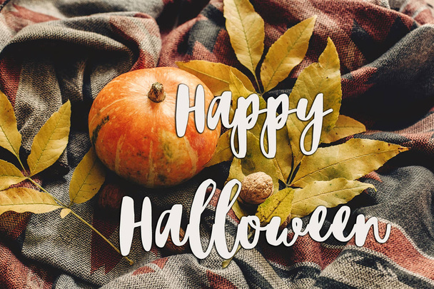 fröhliches Halloween-Textschild auf Herbstkürbis mit bunten Blättern - Foto, Bild