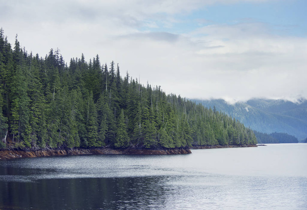 Fjord près de Ketchikan Alaska
. - Photo, image