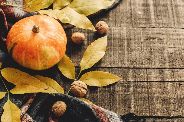 Осенняя тыква с листьями и грецкими орехами на стильном шарфе
 - Фото, изображение