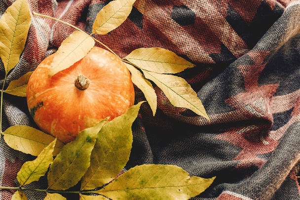 Осенняя тыква с красочными листьями на стильной ткани шарфа
, - Фото, изображение