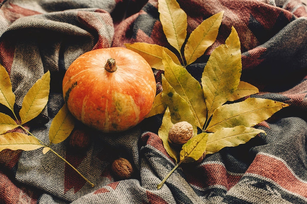 秋の紅葉とクルミとカボチャ  - 写真・画像