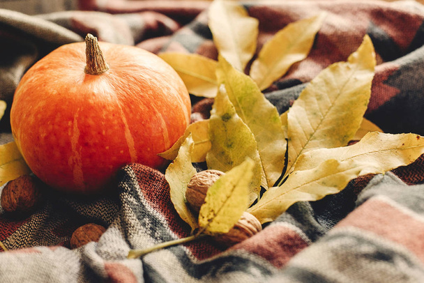 Feliz Halloween o Acción de Gracias. calabaza de otoño
  - Foto, imagen