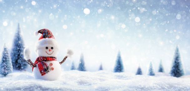 Snowman In Wintry Landscape - Photo, Image
