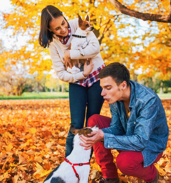 Young couple playing with dogs outdoors in autumn - Fotó, kép