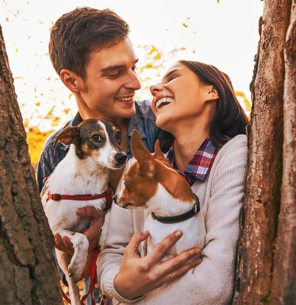 Happy romantic young couple with two dogs in autumn park between trees and smiling each other - 写真・画像