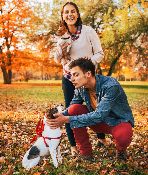 Happy young relaxed couple walking in autumn park and playing with dogs - Zdjęcie, obraz