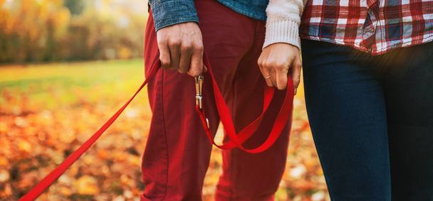Close up on two hands of romantic couple holding dogs lead outside in autumn day - Foto, immagini