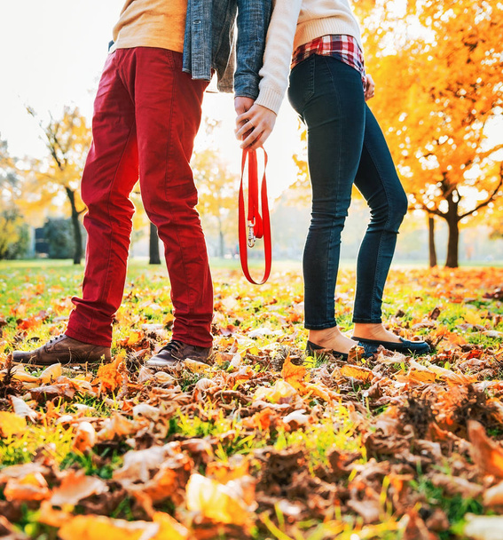 Closeup on young couple holding leash together in autumn park - 写真・画像
