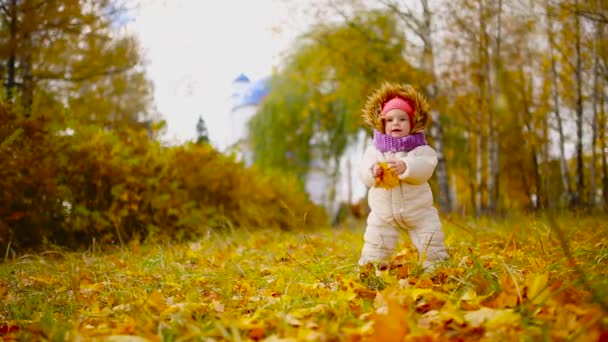 Pikkutyttö syksyllä vaatteet lämmin hattu ja huivi seisoo puistossa katsomassa keltaisia lehtiä putoamassa puista. Nostaa ja erottaa lehdet puusta
. - Materiaali, video