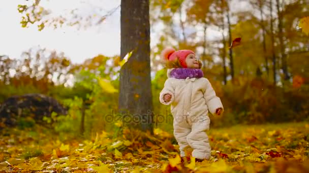 Kislány Őszi ruházat meleg sapka és sál állt a Park nézi a sárga levelek, leesik a fák. Felemeli és elválasztja a levelek a fa. - Felvétel, videó