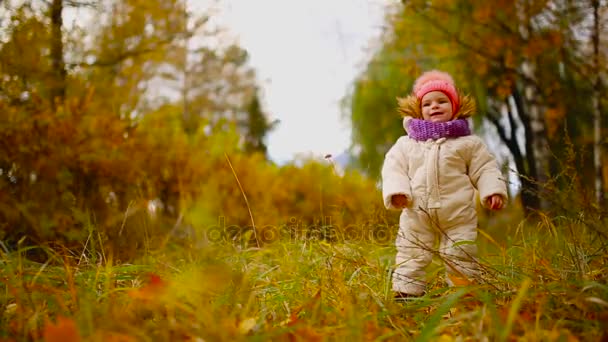 Μικρό κορίτσι σε ρούχα σε ζεστό καπέλο και κασκόλ στέκεται στο πάρκο βλέποντας το κίτρινο φύλλα που πέφτουν από τα δέντρα. Ανελκυστήρες και διαχωρίζει τα φύλλα από το δέντρο. - Πλάνα, βίντεο
