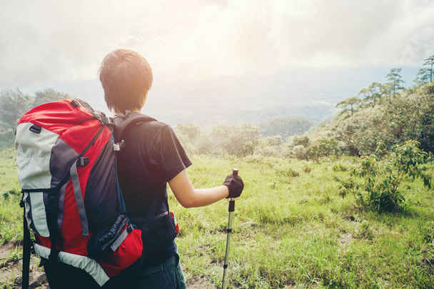 Sentier touristique randonnée dans la forêt Voyageur Homme avec sac à dos cr
 - Photo, image