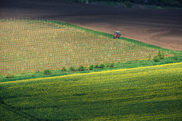 Mezőgazdasági táj Dél-Morvaország traktor napnyugtakor, Cseh Köztársaság - Fotó, kép