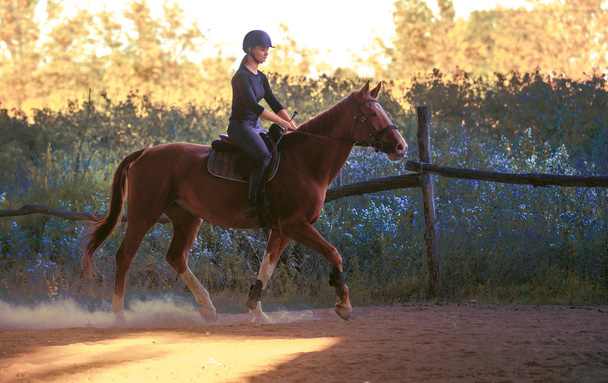 Joven chica bonita montando un caballo con hojas retroiluminadas detrás
  - Foto, Imagen