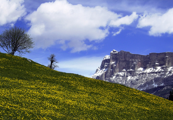 Dolomites in spring - Φωτογραφία, εικόνα