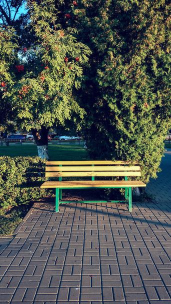 Скамейка в осеннем парке в городе, летний день
. - Фото, изображение