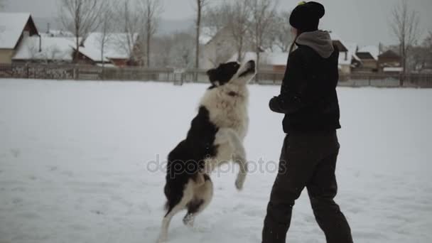Girl playing with her dogs with a ball in winter scenery - Footage, Video