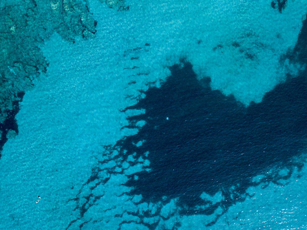Aerial view of rocks on the sea. Overview of seabed seen from above, transparent water. Seaweed designed by algae - Valokuva, kuva