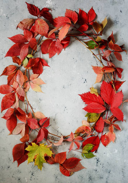 Autumn arrangement of leaves. Autumn background. Background with autumn theme - Photo, image