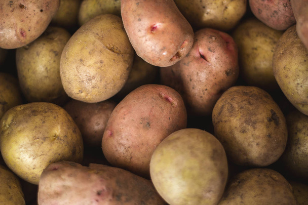 rohe Kartoffeln - landwirtschaftliches Konzept - Foto, Bild