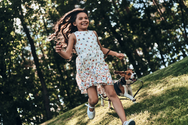 happy girl playing with beagle dog - Fotoğraf, Görsel