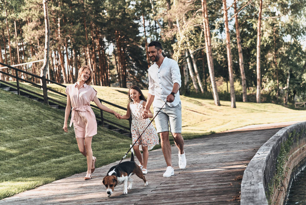 girl with mother, father and beagle - Fotoğraf, Görsel
