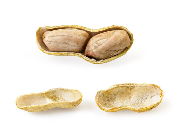 Kuiva maapähkinä kuori
 - Valokuva, kuva