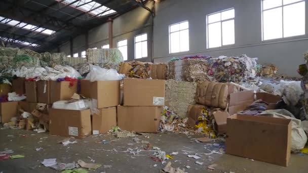 Μεγάλο εργοστάσιο για την ανακύκλωση χαρτιού και Carboard. - Πλάνα, βίντεο