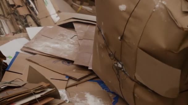 Big Factory For Recycling Paper and Carboard. - Footage, Video