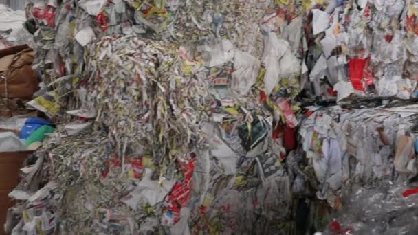 Großes Werk für Recycling von Papier und Karton. - Filmmaterial, Video